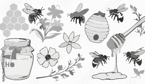 Rustic Honey Bee Hand Drawn Vector Illustration Set Black and White Botanical Sketch