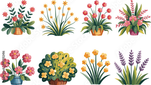 Colorful potted flowers and garden plants vector illustration, decorative floral arrangements isolated botanical design set