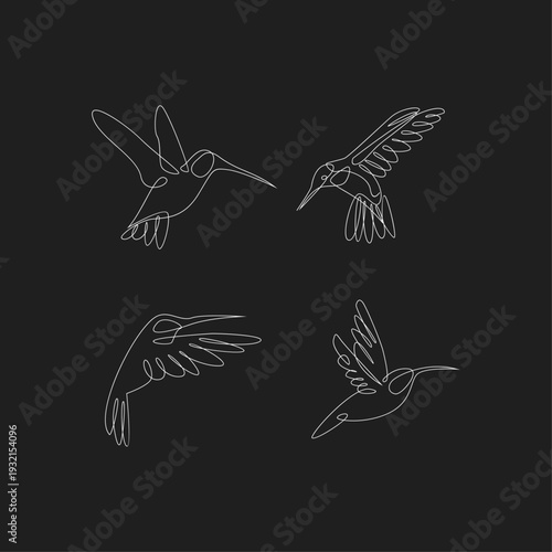 Continuous Line Art Hummingbirds Flying Set on Dark Background