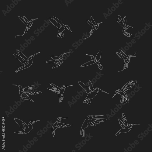 Hummingbird Line Art Collection. Minimalist Continuous One Line Drawing of Flying Birds. Elegant Vector Illustration Set.