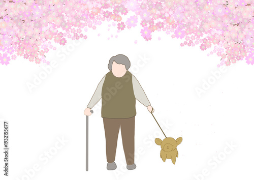 顔無し老人が満開の桜の木の下を犬と散歩しているカラーイラスト
