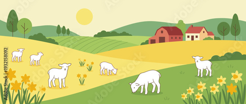 Flat vector illustration of a peaceful spring farm scene with cute white lambs grazing in a meadow of yellow daffodils, rolling green hills, a red barn, and farmhouse under a warm morning sun.