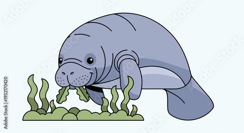 Cartoon manatee eating sea grass vector art illustration in flat design style adorable marine mammal graphic isolated animal wildlife drawing