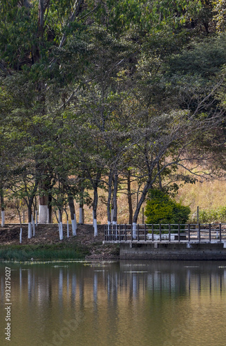 the river in the park