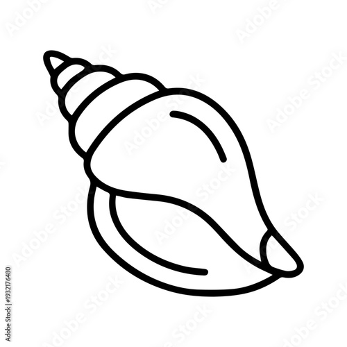 Seashell Illustration