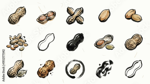 A collection of artistic illustrations of peanuts in various forms, showcasing shells, kernels, and stylized representations.