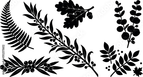 Minimalist silhouette botanical branch set close up black leaf elements on white background flat vector art fern eucalyptus oak sprig