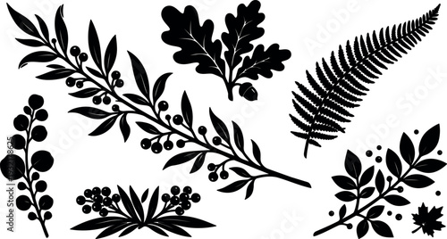 Flat design botanical silhouette set of fern oak and laurel sprigs isolated vector elements for pattern and craft stencil decor