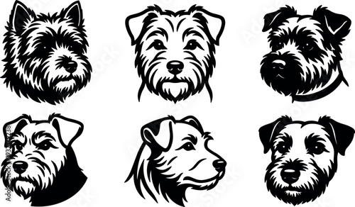 Line art terrier head set six black and white vector portraits close up various angles looking forward and three quarter