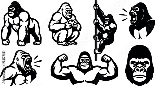 Tattoo flash gorilla mascot vector set multiple poses roaring climbing flexing sitting close up bold black line art isolated icons