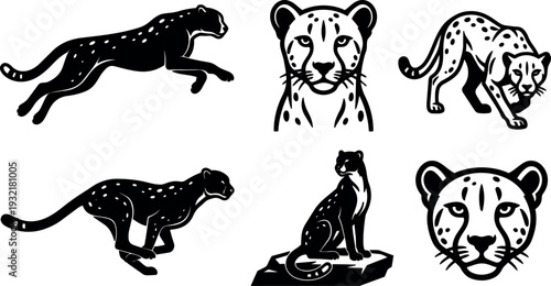 Tattoo flash cheetah set in bold ink silhouettes running stalking sitting and close up heads in vintage line art style