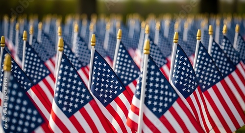 American flags in a patriotic display