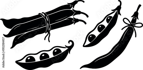 Ink wash vector peas and pods close up top view rustic kitchen illustration black silhouette composition for packaging label art