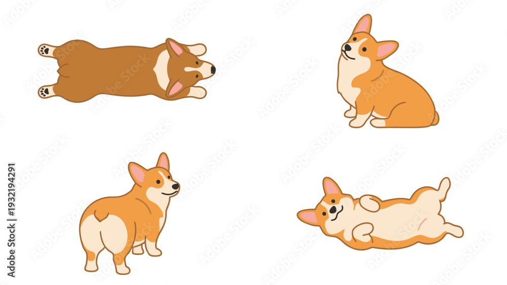 Naklejka premium Cute Corgi Dog Illustrations Set in Various Playful Poses on White Background