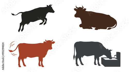 Various cow silhouettes in different poses and actions: jumping, resting, standing, and drinking. Farm animal vector icons.