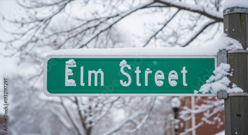 Snow-Covered Elm Street Sign in Winter Landscape with Trees