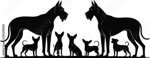Great Dane and Chihuahua dog silhouettes, pet breed variety collection, canine animal shapes, veterinary clinic icons, domestic dog profile vector.