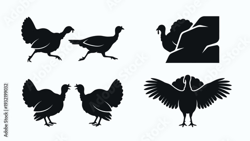 Turkey Bird Silhouettes in Different Poses, Black and White Icons
