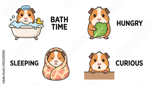Adorable Guinea Pig Cartoon Set: Bath, Hungry, Sleeping, Curious Poses