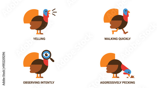 Flat Design Turkey Actions Set: Yelling, Walking, Observing, Pecking Vector Illustrations