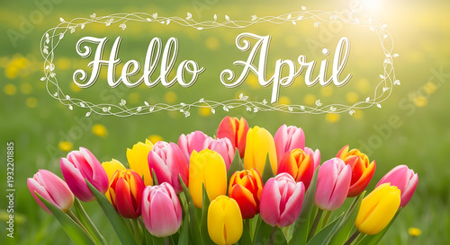 Wallpaper Mural Seasonal greeting with blooming tulips and bright colors Torontodigital.ca