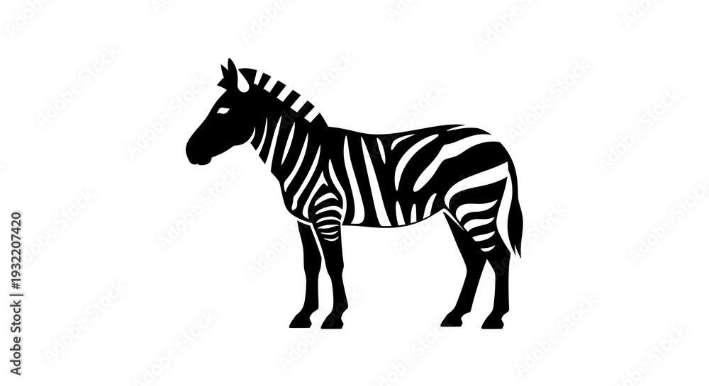 Obraz premium Zebra silhouette on white background