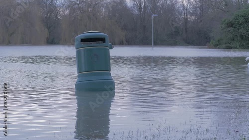 submerged waste bin in flooded park, trees and fast flowing flood water, mute swan drifts into view