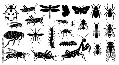 Collection of Black and White Silhouettes of Various Insects and Bugs
