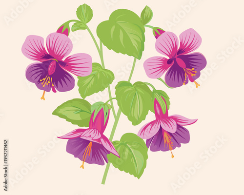 A vibrant illustration of fuchsia flowers with lush green foliage