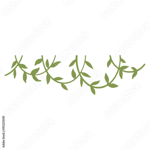 Hand-Drawn Jungle Vines Illustrations