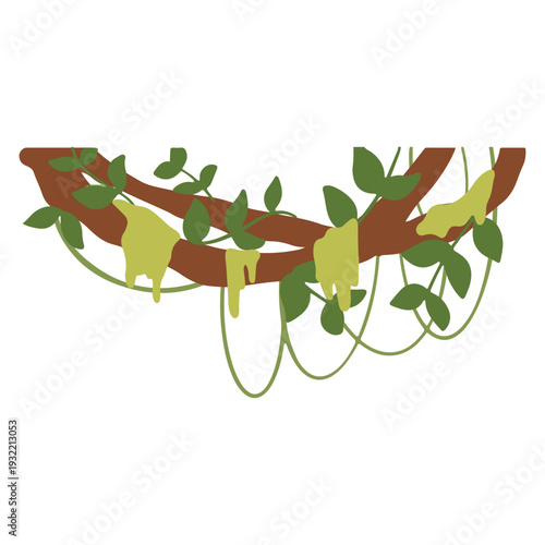 Hand-Drawn Jungle Vines Illustrations