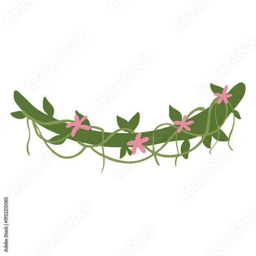 Hand-Drawn Jungle Vines Illustrations