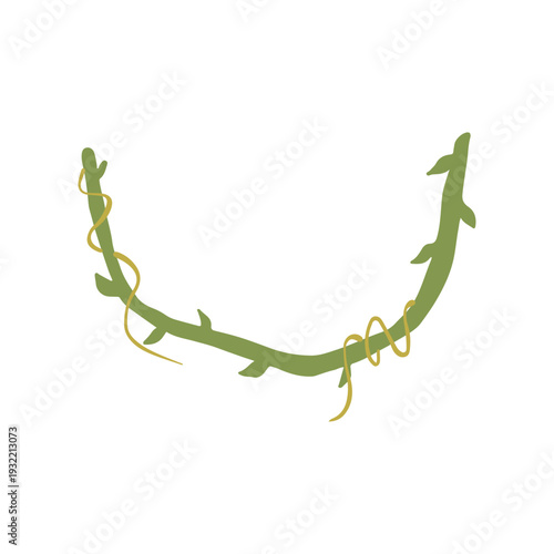 Hand-Drawn Jungle Vines Illustrations