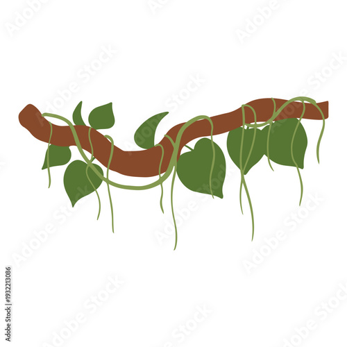 Hand-Drawn Jungle Vines Illustrations