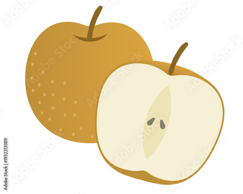 Fresh Asian Pear Vector Illustration Set: Whole, Half-Cut, and Sliced Japanese Nashi Pear for Food Design, Recipes, and Agriculture