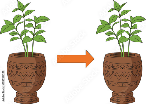 Plant Growth Progression in Decorative Pot with Arrow Showing Development Stages Gardening Concept Vector Illustration