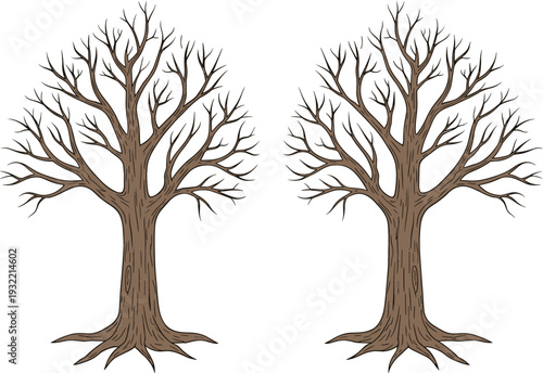 Set of Bare Leafless Trees with Detailed Branches Isolated on White Background Winter Nature Vector Illustration
