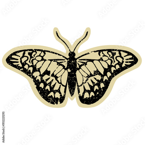 Vintage Butterfly Illustration