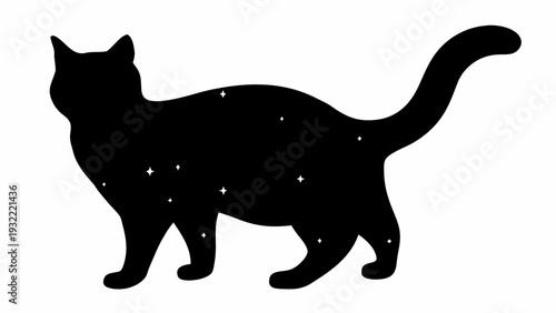 Mystical black cat with starry night silhouette