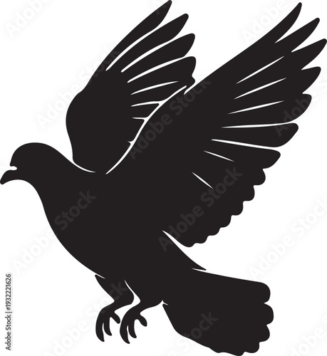 Homing Pigeon in silhouette on white background.