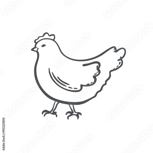 Hen vector graphic illustration for the design of farming and zoological themes. Whimsical hand drawn isolated poultry. Black and white doodle of chicken for organic products packaging, Easter card.