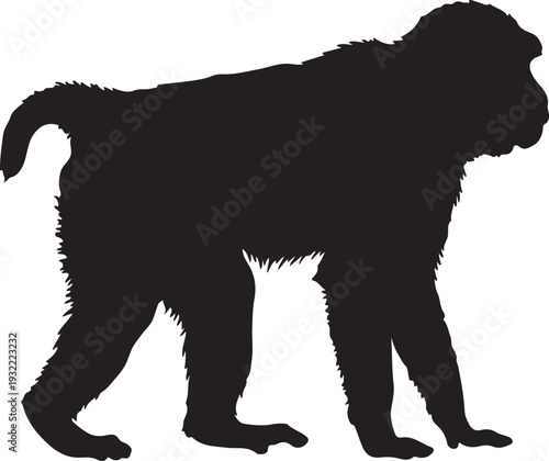 Macaque in style in silhouette white backgruond۔