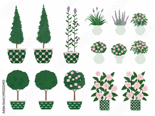 Collection of potted plants and topiaries in various shapes and colors