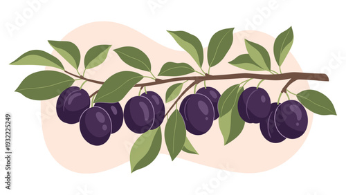 Illustration of a fruit-bearing branch with ripe purple plums hanging among lush green leaves on a soft pink abstract background.