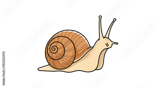 Cute garden snail with a brown swirled shell crawling slowly across a white background in a simple cartoon style.