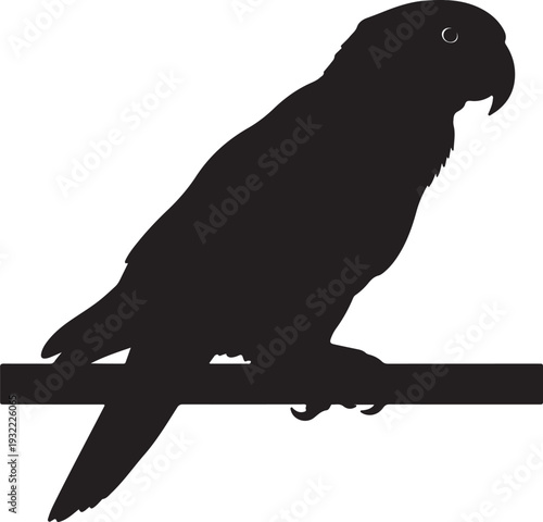 Quaker Parrot in silhouette on white background.
