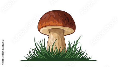 Realistic illustration of a large brown mushroom growing in a patch of green grass isolated against a clean white background.
