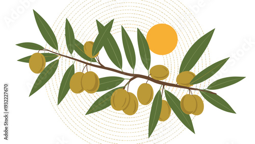 Branch of an olive tree bearing several ripe green olives and slender leaves against a backdrop of golden concentric circular lines.