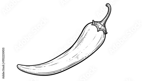 Single, hand-drawn style chili pepper illustration, isolated on a white background, depicting detail and shading