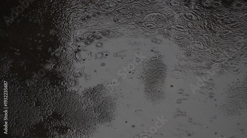 Close-up of raindrops creating ripples on a wet asphalt surface. Moody, high-contrast water texture for urban transitions and ASMR content.